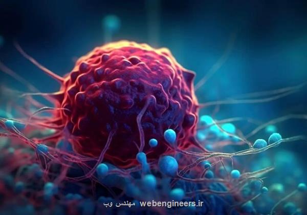 الگوی غذایی بر سرطان سلول های پایه پوست مؤثر است