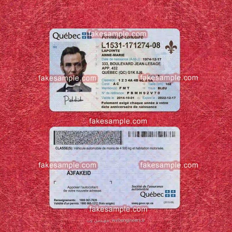 India Driver Licence Fake Template